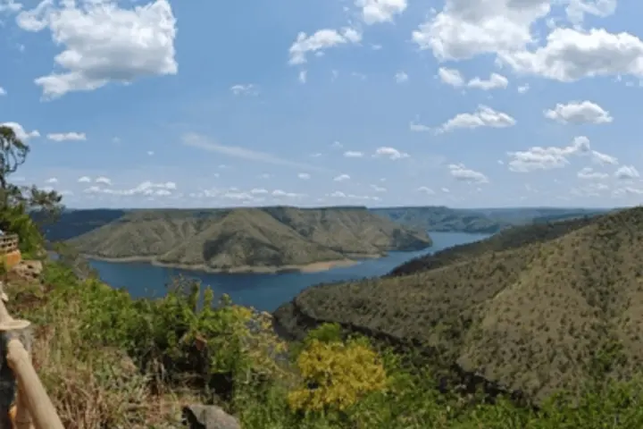 Octopus Viewpoint in Srisailam